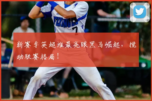 新赛季英超谁最亮眼黑马崛起,搅动联赛格局!